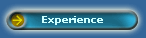 Experience