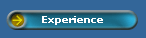 Experience